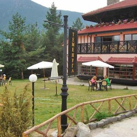 Hotel Temenuga Panichishte Exterior photo